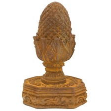 Cono di abete pino ferro