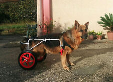 Carrello Veterinario Sedia a Rotelle per cani disabili