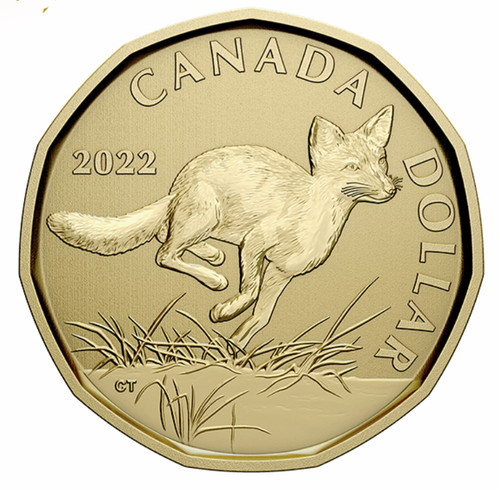 2022 canada swift fox loon - 2022,