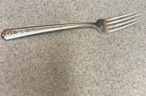 Forchetta pranzo rambler - da,