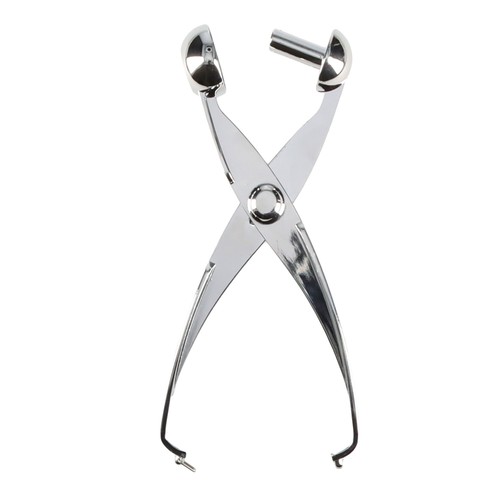 Family inox snocciola - family, inox.snocciola