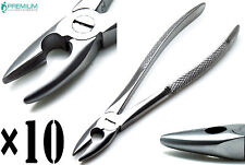 10x Pinze per idromele MD1