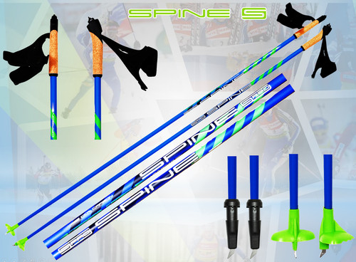 Bastoncini sci di fondo - ,