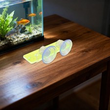  Supporto per coralli in