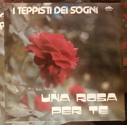 Teppisti dei sogni - sogni, rosa