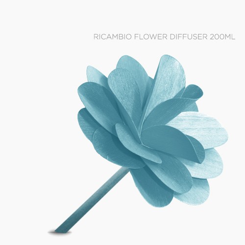 Muhà camelia di ricambio - di,