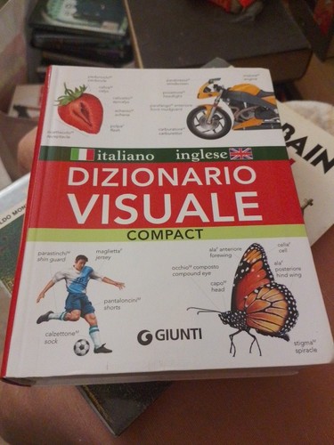 Dizionario visuale italiano - visuale,