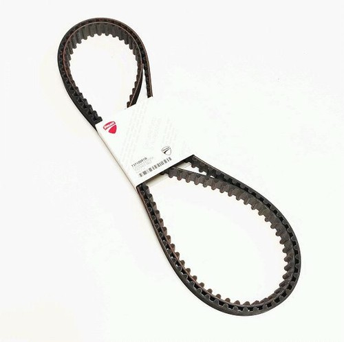 Coppia cinghie z95 originale - cinghie,