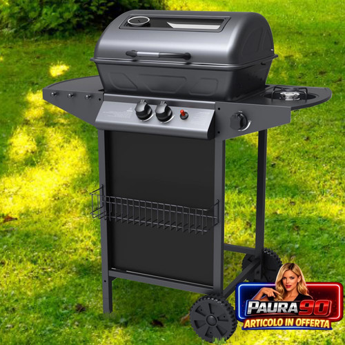 Barbecue gas pietra - a,