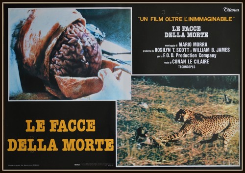 Fotobusta facce della morte - fotobusta,