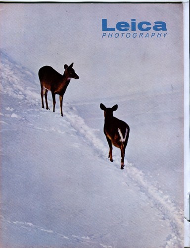 Leica photography magazine - leica,