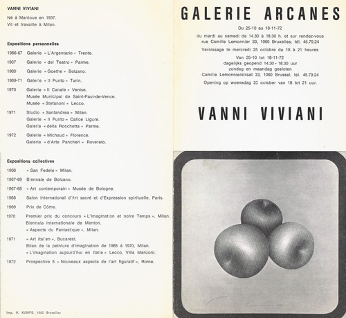 Galerie arcanes vanni viviani - galerie,