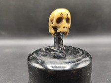 Memento Mori 1600, teschio
