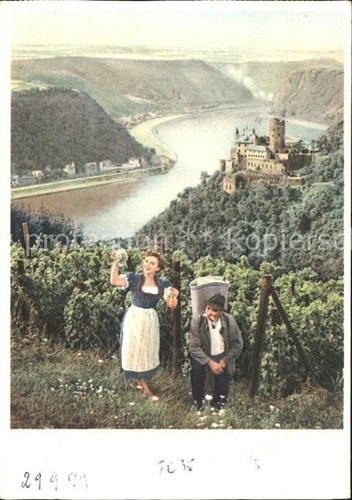 Vitigno viticoltore - vitigno,