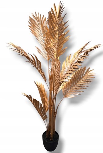 Elegante palma dorata - elegante,