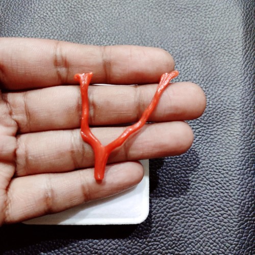 Vendita ramo corallo rosso - di,