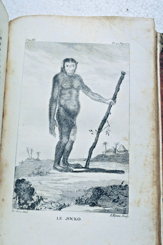 Buffon histoire naturelle - buffon,
