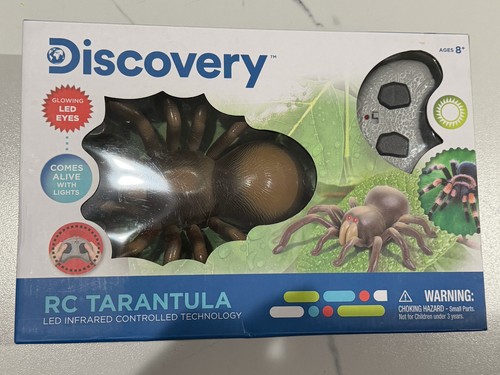 Discovery tarantola spider - tarantola,
