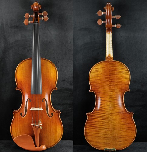 Amazing master lwf violino - master,