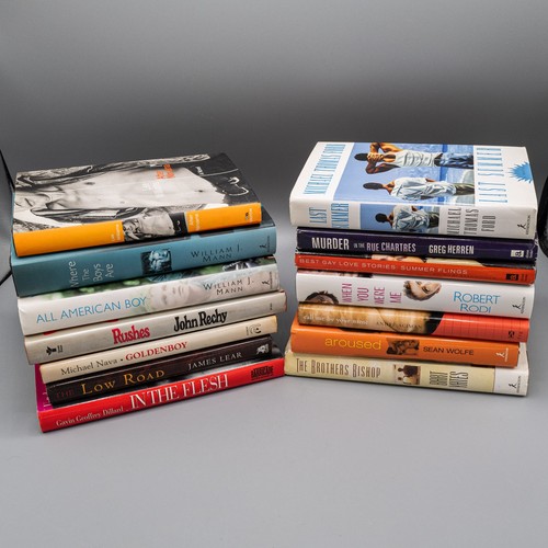 Gay novels erotica - novels,