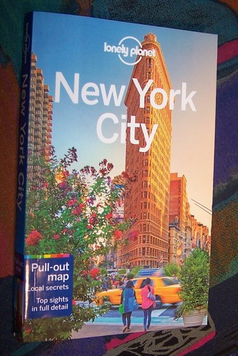 New york city with pull - new,