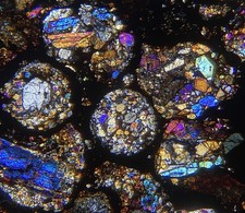 Meteorite NWA 16975 Condrite