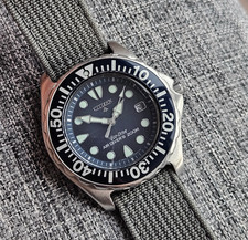 Subacqueo Citizen revisionato