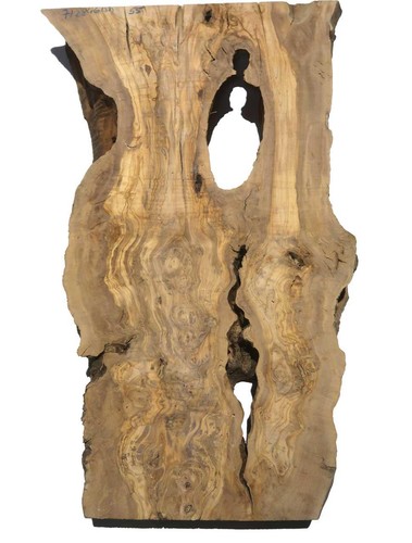 Legno radice di olivo - legno,
