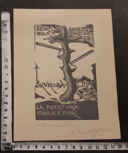 Wunderkammer exlibris 653 - wunderkammer, c