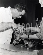 Foto Vintage Animali Cani Cocker Spaniel Visita dal Veterinario stampa 27x22 cm