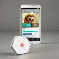 Dogtra StarWalk iQ Pet