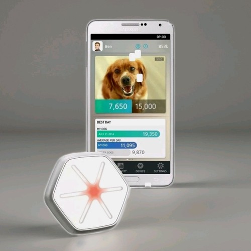 Dogtra starwalk pet - starwalk,