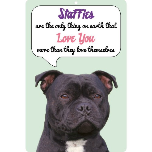 Insegna cane staffie nera - insegna,