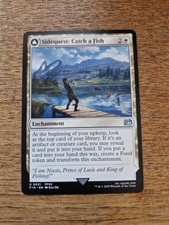 SIDEQUEST CATCH A FISH U 0031