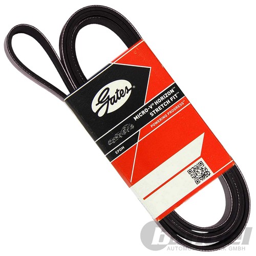 Cinghie gates 6pk1028 - cinghie, v