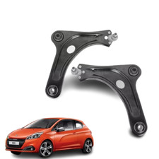 COPPIA 2 BRACCI OSCILLANTI