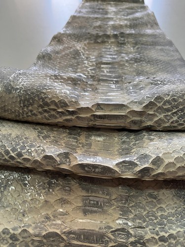 Vera pelle serpente - di,