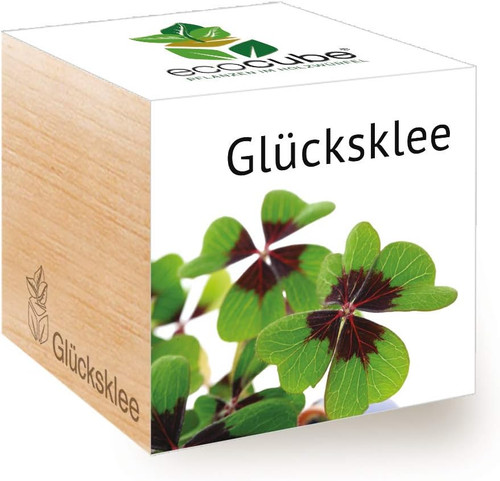 Ecocube lucky clover - clover,, idea