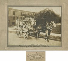 Wilmerding Pa Sfilata Fiore