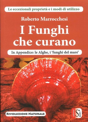 Libri roberto marrocchesi i - marrocchesi,