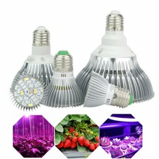 Lampadina lampada led