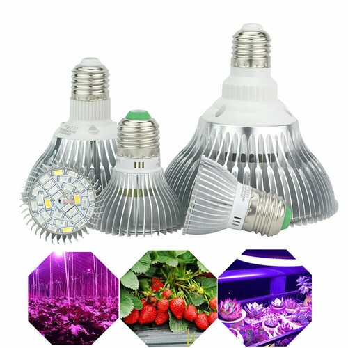 Lampadina lampada led