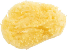 Spugna Naturale Di Mare