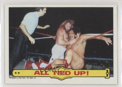 1985 topps wwf big john - 1985,