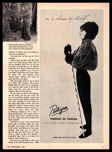 1960 pedigree fabriqué - pedigree,