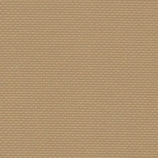 Antico Marrone Dirty 14 Conte