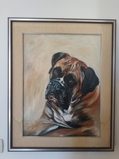 Dipinto olio su tela cane boxer