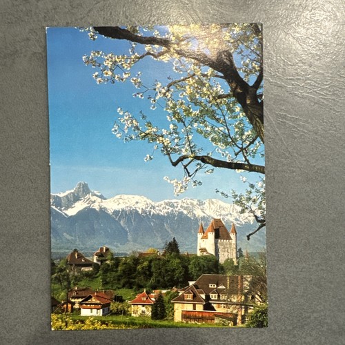 Cartolina thun svizzera veduta - svizzera,