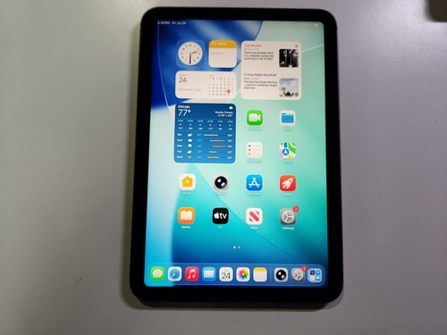Apple ipad mini - ipad,