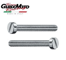 VITI GRUPPO OTTICO FARO